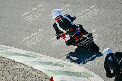 media/Dec-12-2025-2WTD (Fri) [[7c7cc9b1da]]/B Group/Session 3/